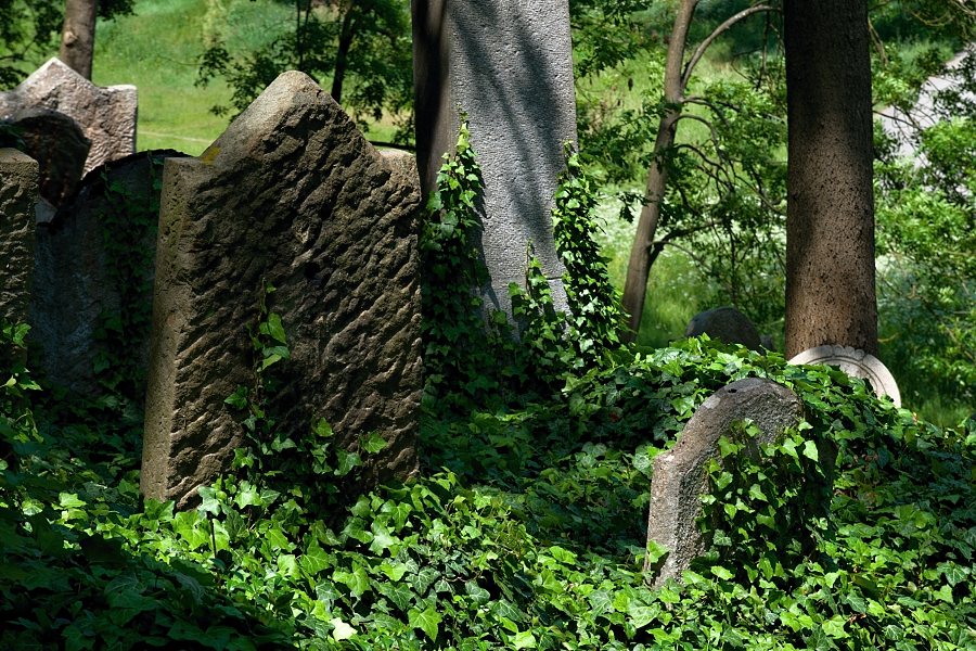 Třebíč