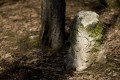 hraniční kámen - Brno - obora Holedná