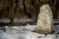 hraniční kámen - Brno - obora Holedná