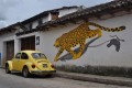 San Cristobál de las Casas - jaguár a brouk