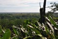 národní park Palenque