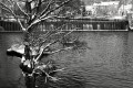 Brno Komín - jez na řece Svratce