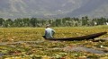 Šrínagar - rybář na jezeře Dal