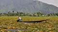 Šrínagar - rybář na jezeře Dal