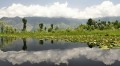 Šrínagar - jezero Dal