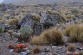 Citlaltepetl / Pico de Orizaba